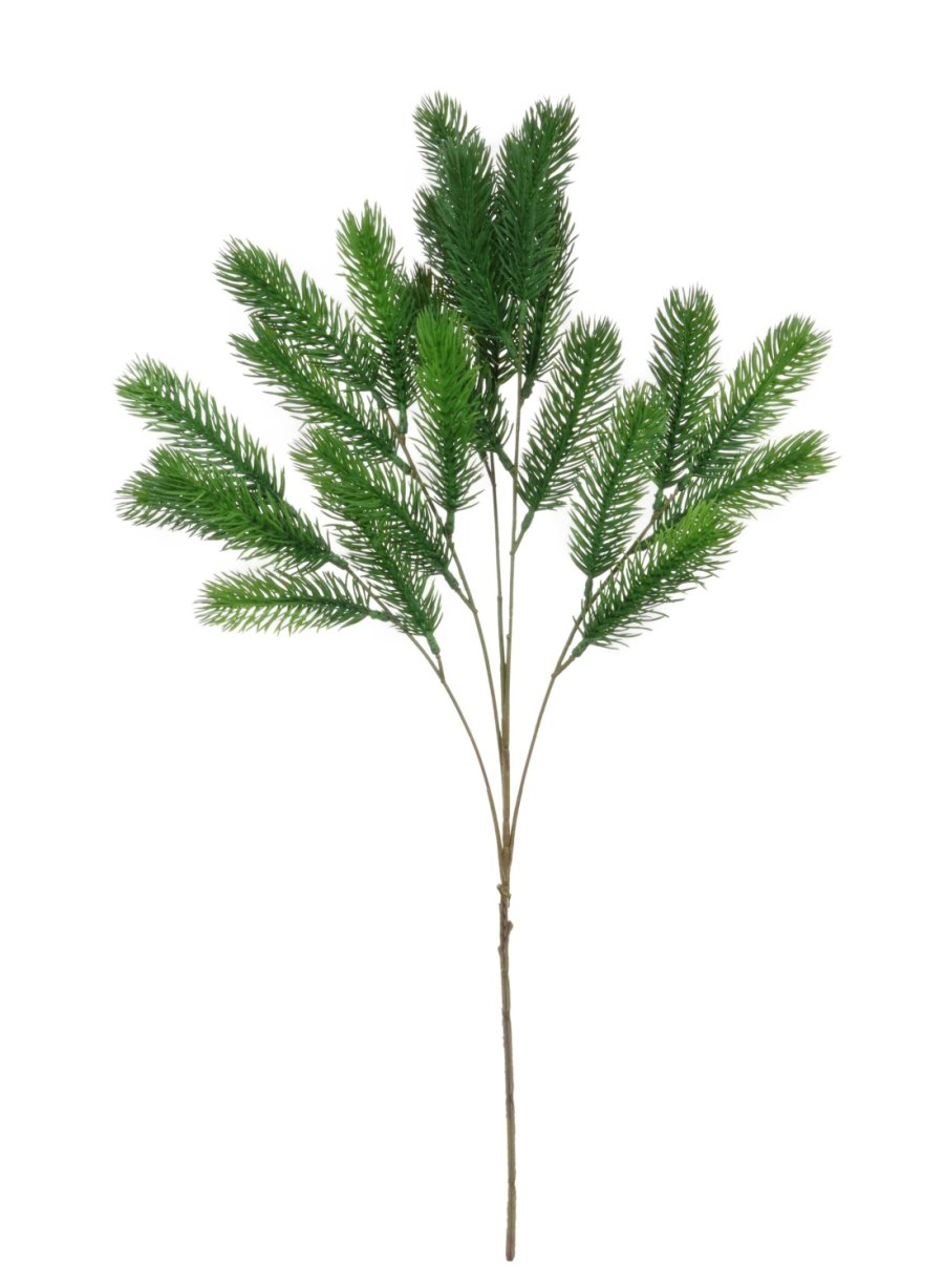 Xmas Spruce Branch