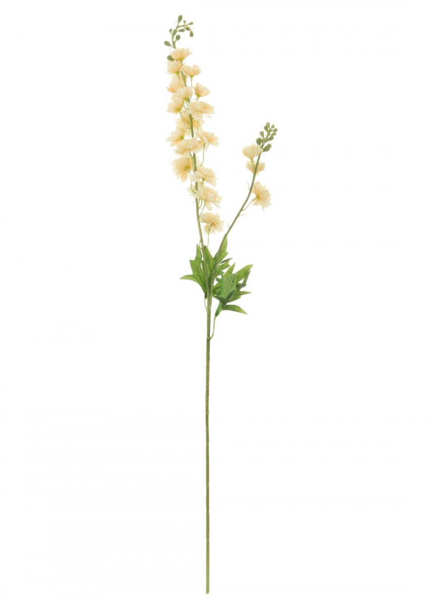 Slim Stock (Delphinium)