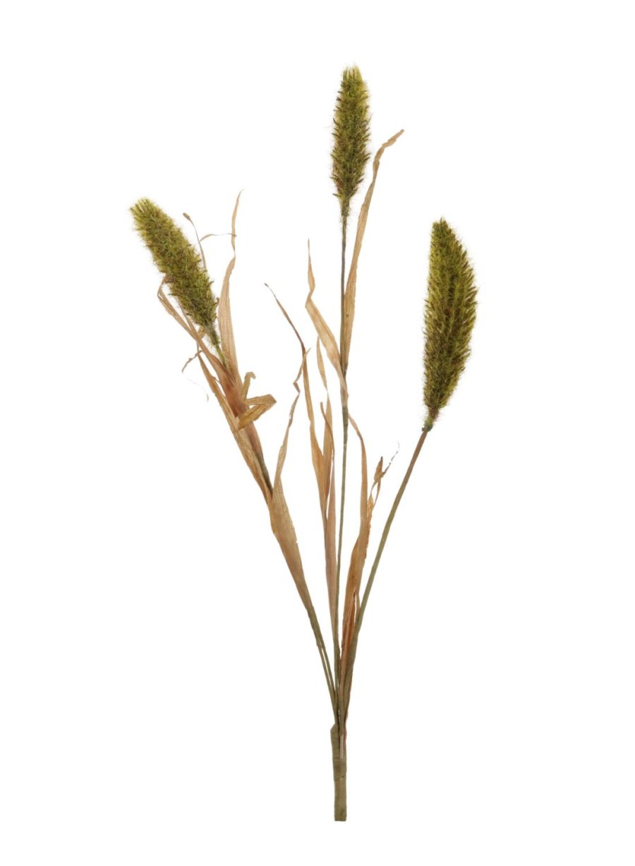 Dried Bunny Tail Reed Spray 