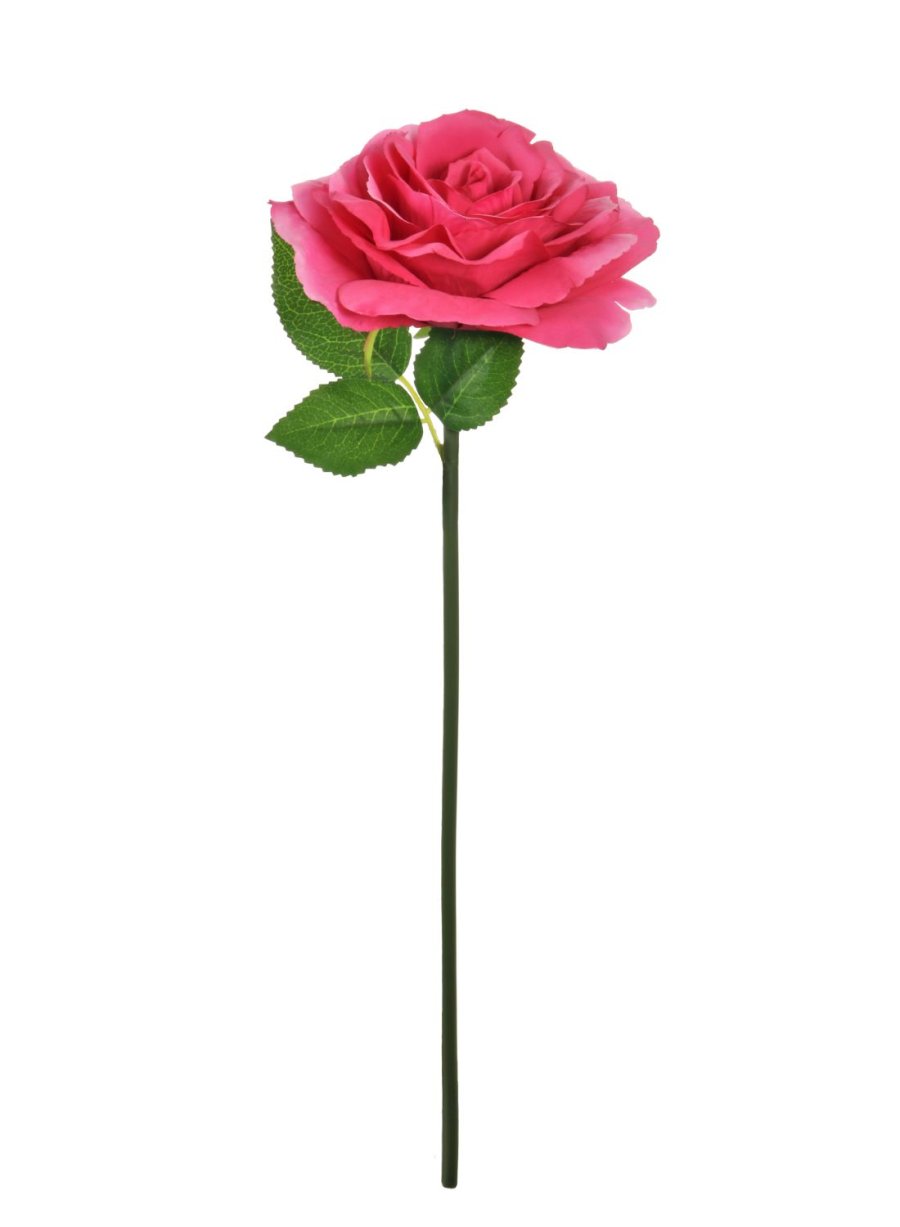 Short Stem Tudor Rose 14 Colours Available Lotus Imports Ltd