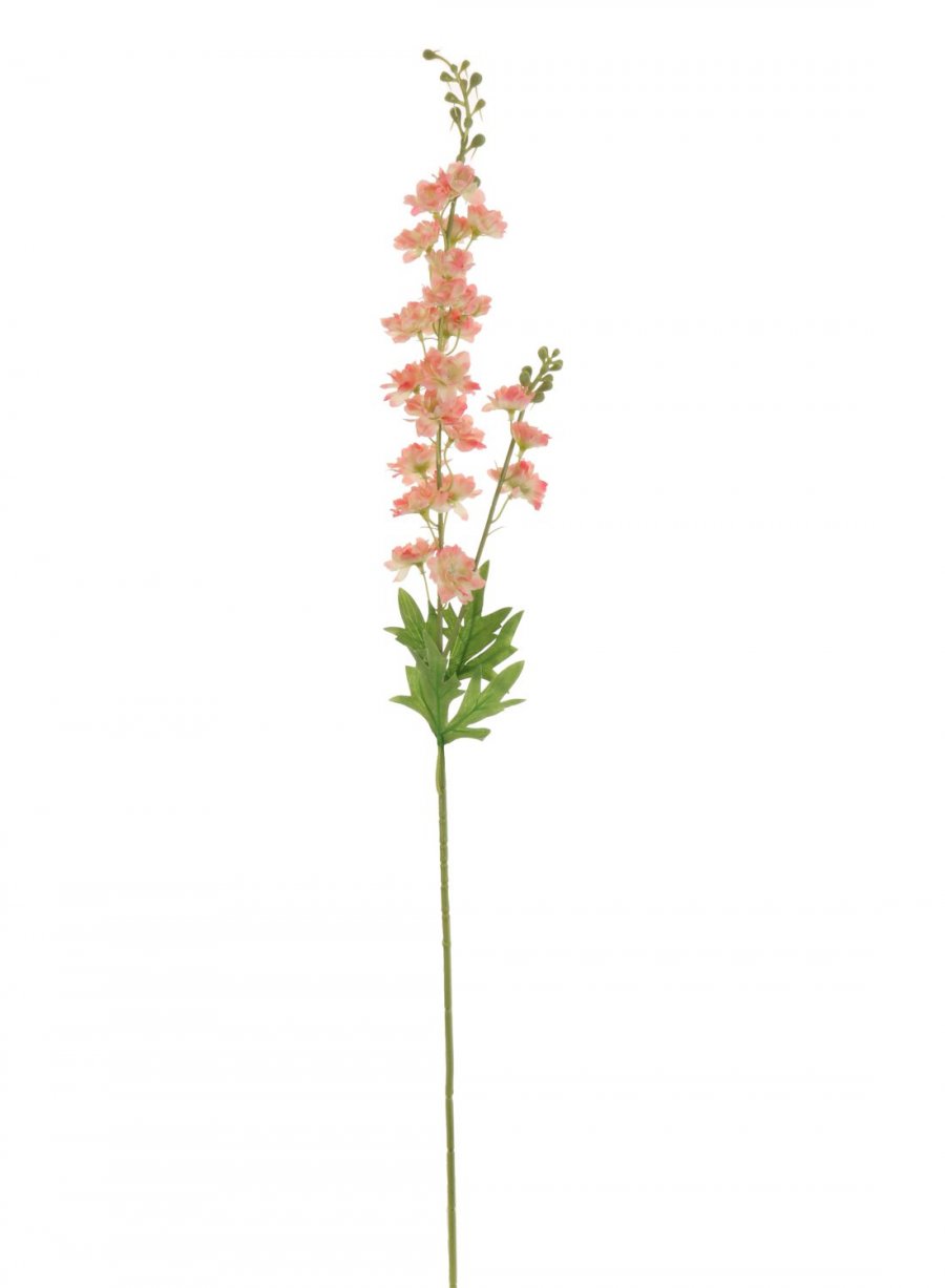 Slim Stock (Delphinium)