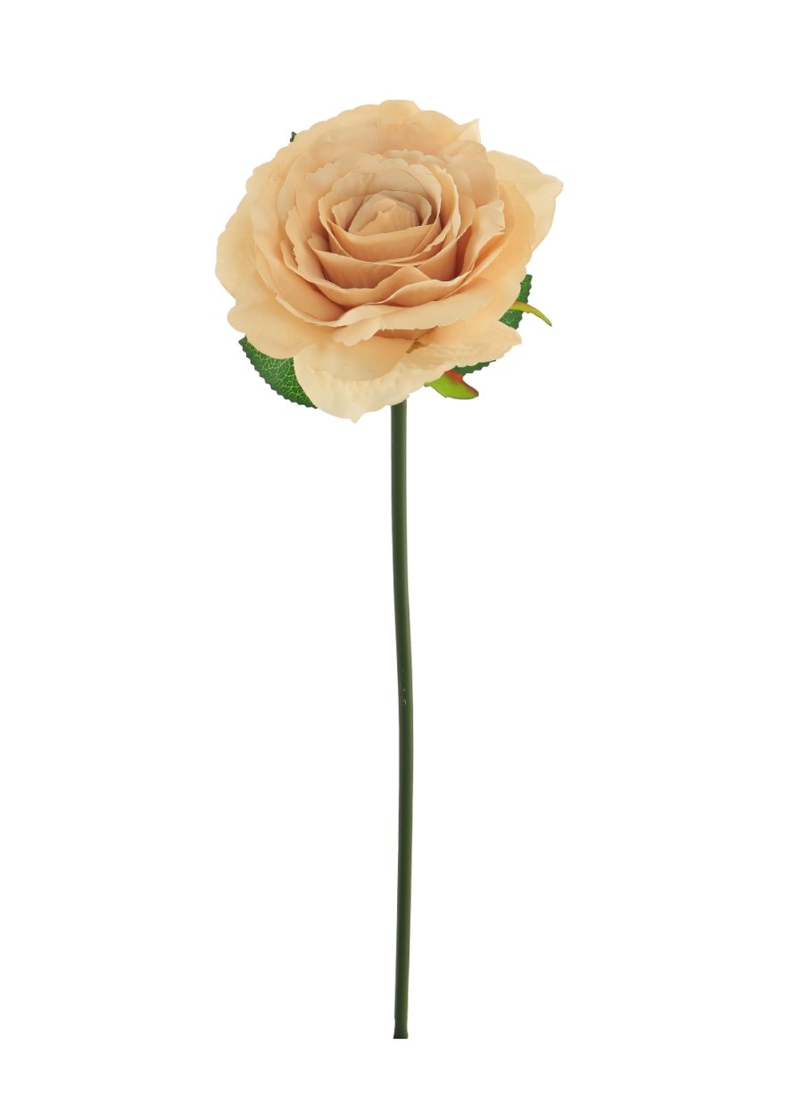 Short Stem Tudor Rose 14 Colours Available Lotus Imports Ltd
