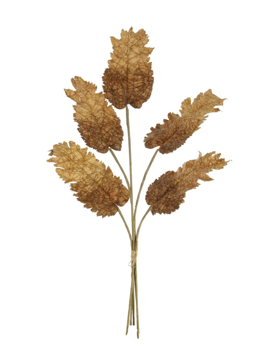 Dried Touch Fall Leaf Bunch