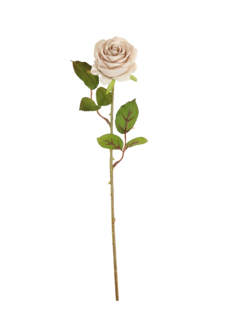 Amira Rose Stem