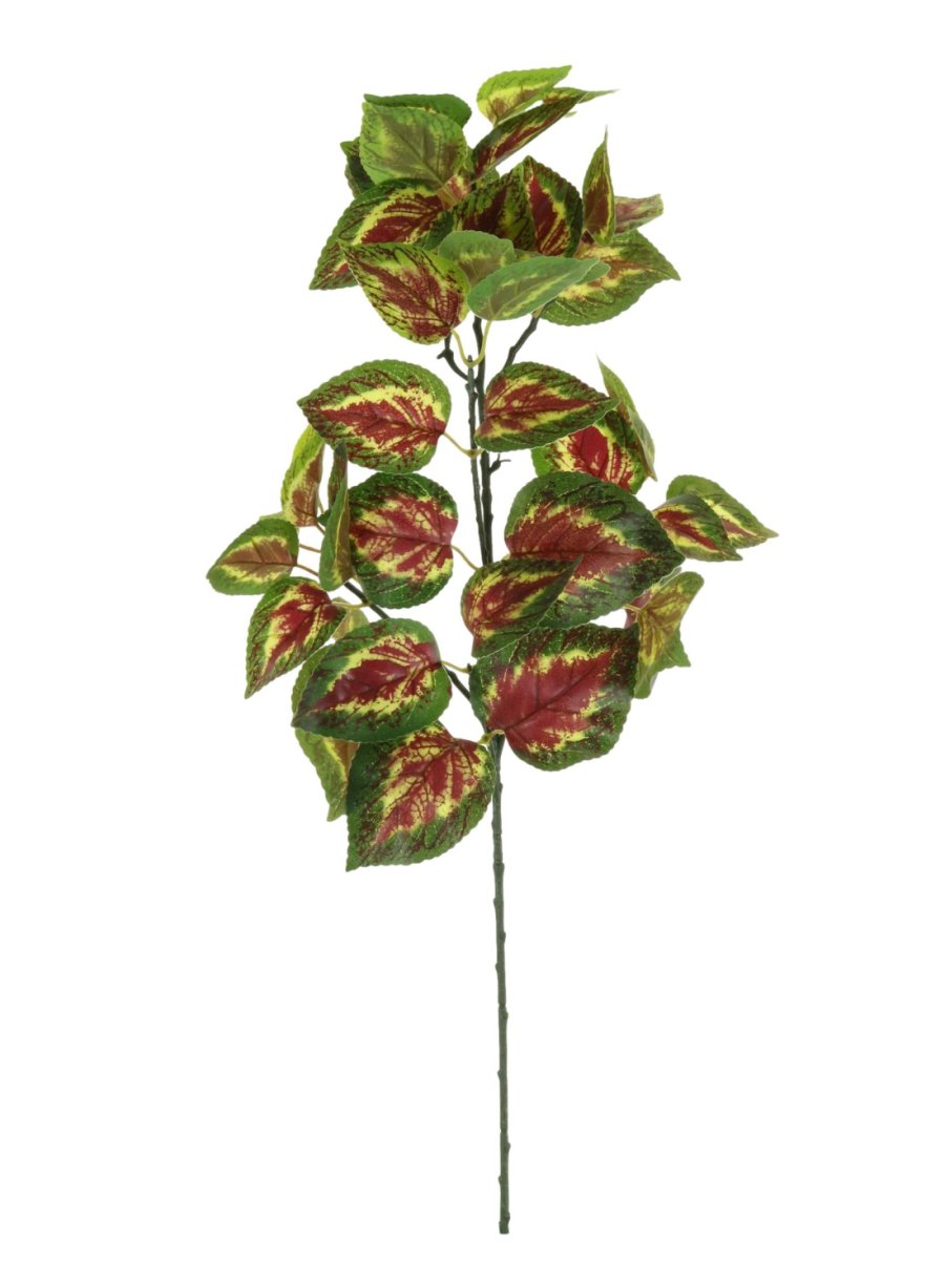 Printed Coleus Orb Leaf Spray (Large)