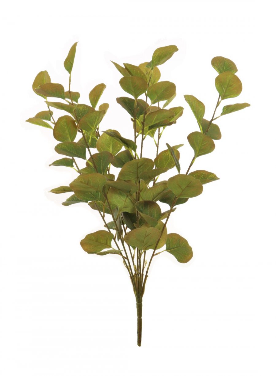 Silver Dollar Eucalyptus Bunch (Large)