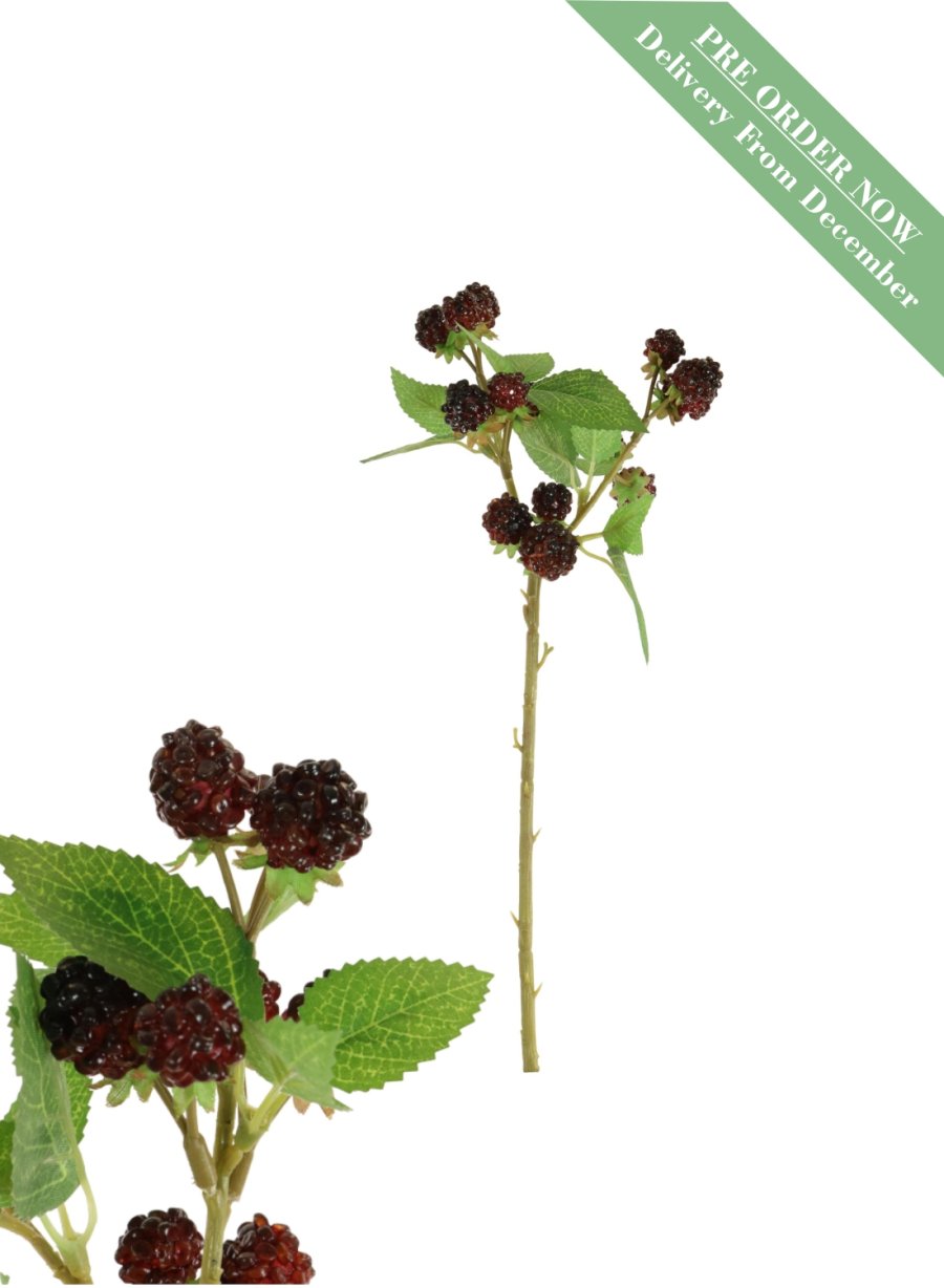 Raspberry Spray (39cm)