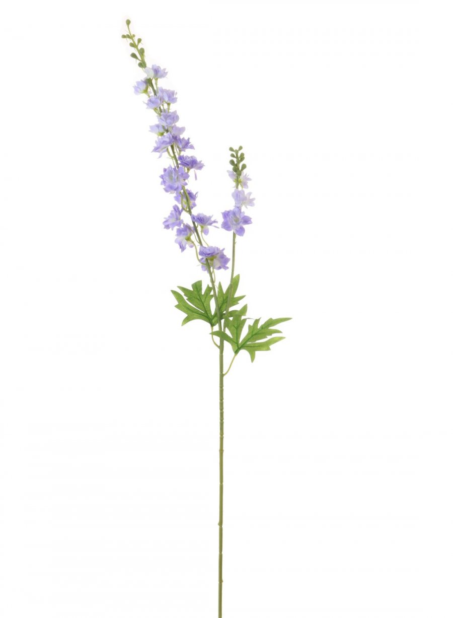 Slim Stock (Delphinium)