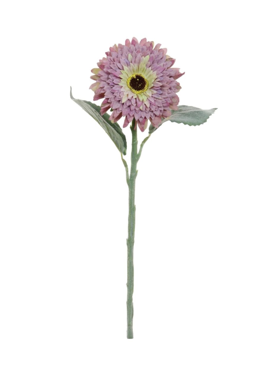 Dried Touch Flocked Gerbera
