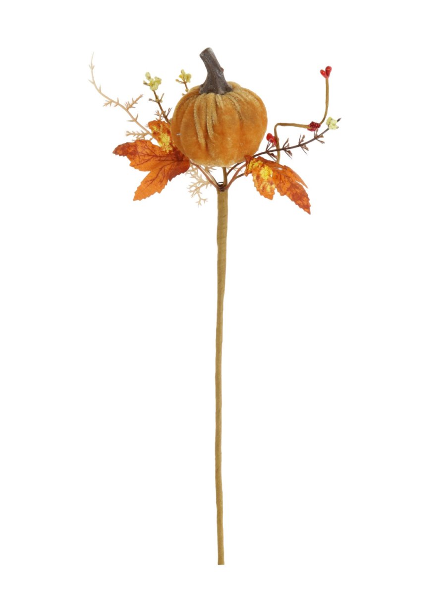 Autumn Wild Velvet Pumpkin <br/>(Small)