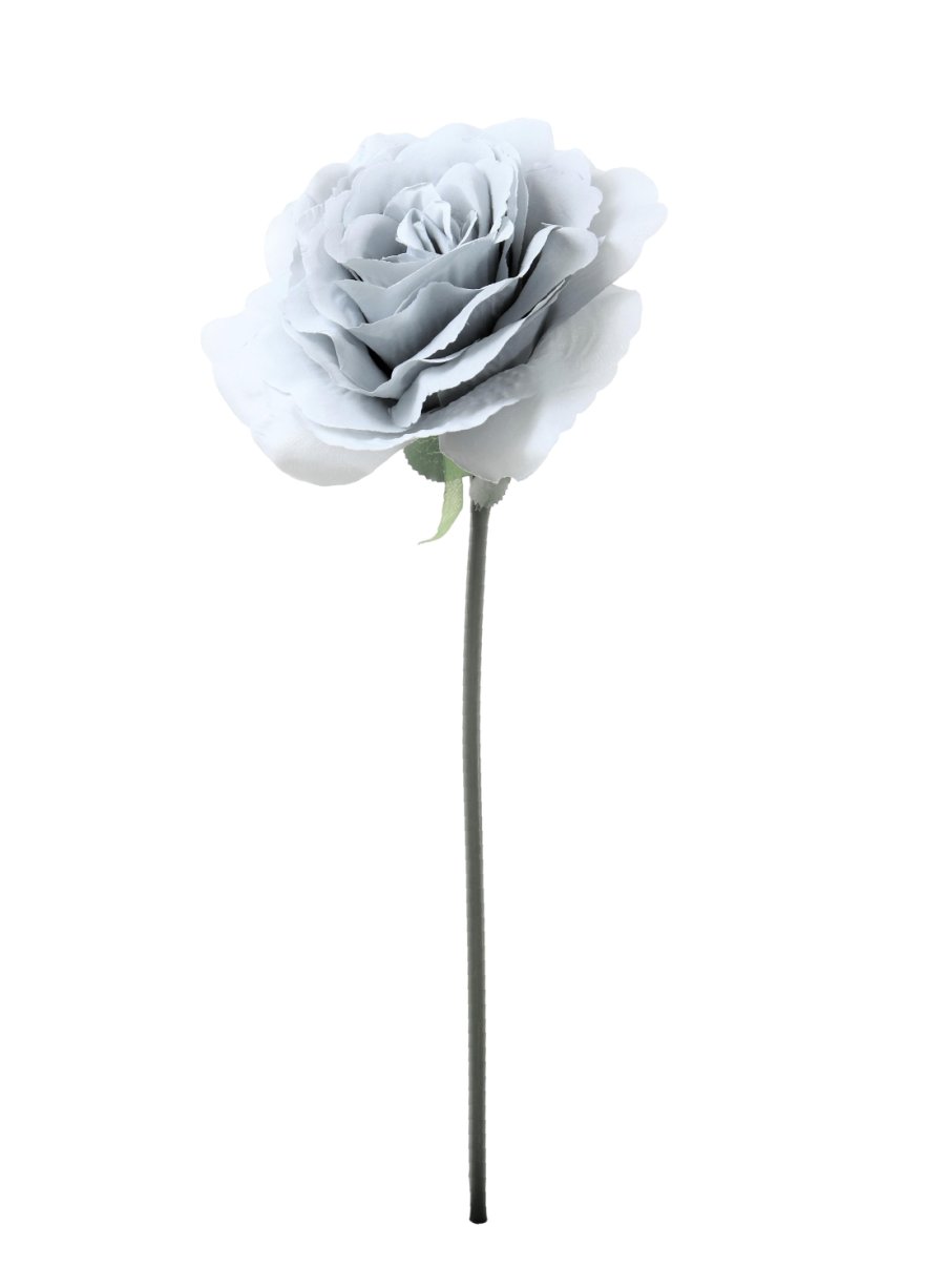 Tudor Rose (Short Stem)