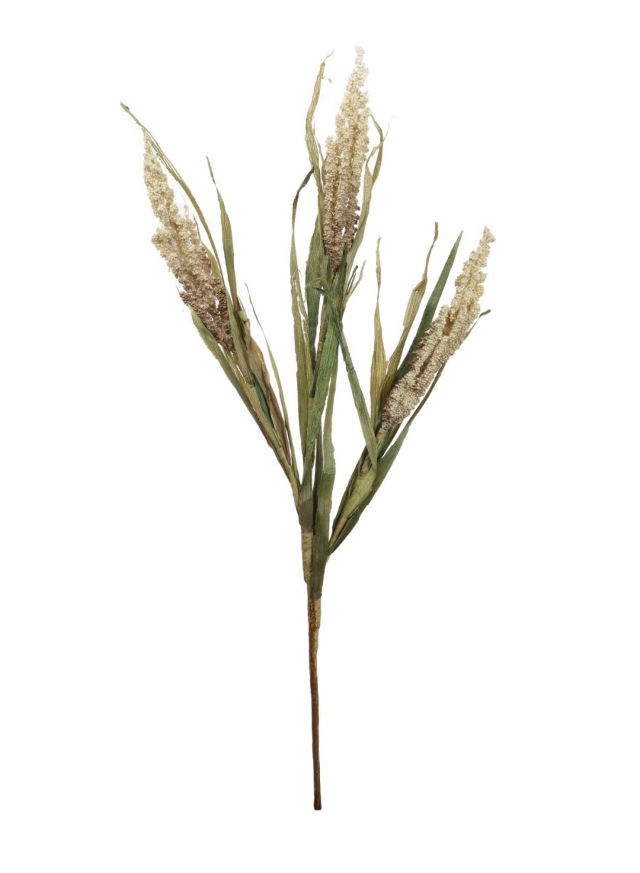 Dried Reed Wheat Spray