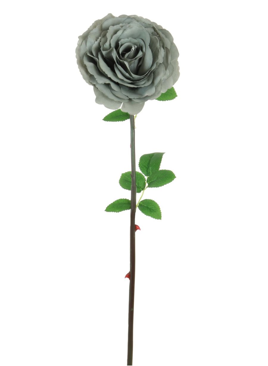 Tudor Rose (Long Stem)