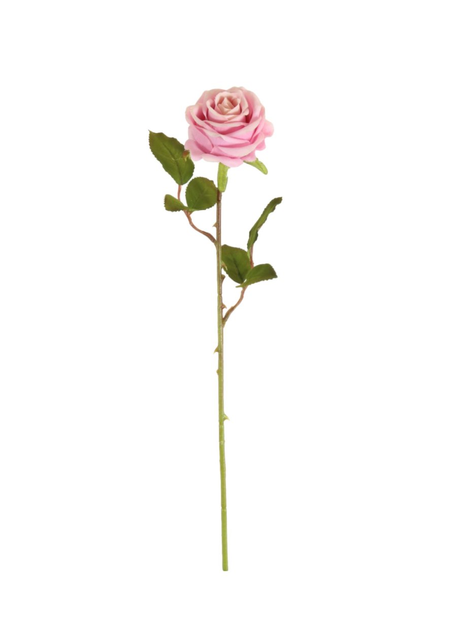 Amira Rose Stem