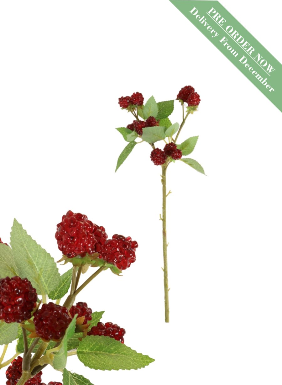 Raspberry Spray (39cm)