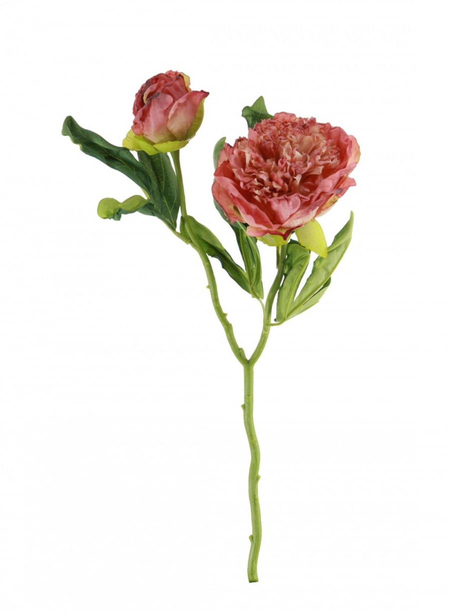 Dried Touch Ruffled Peony - 5 Colours Available | Lotus Imports Ltd