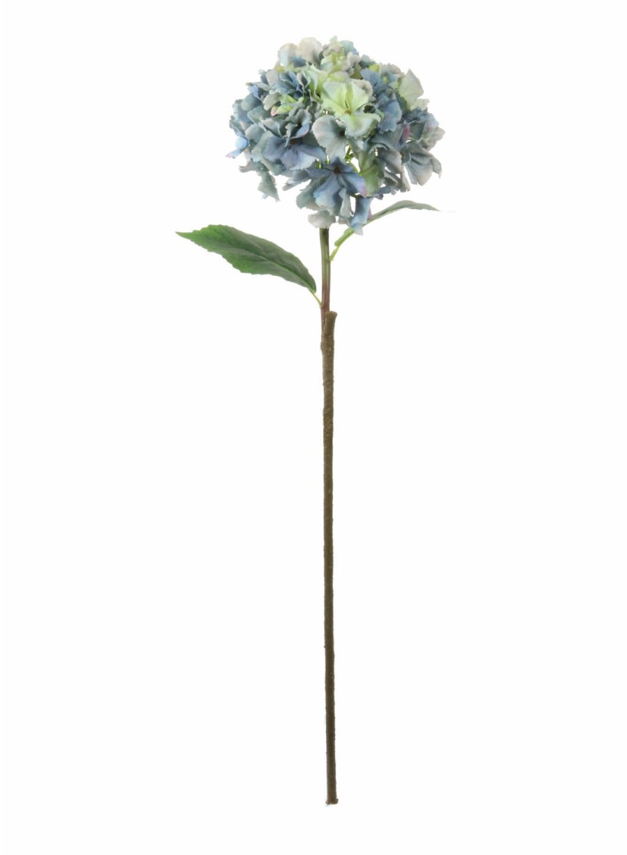 French Hydrangea (Long Stem)