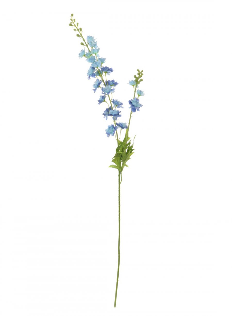 Slim Stock (Delphinium)