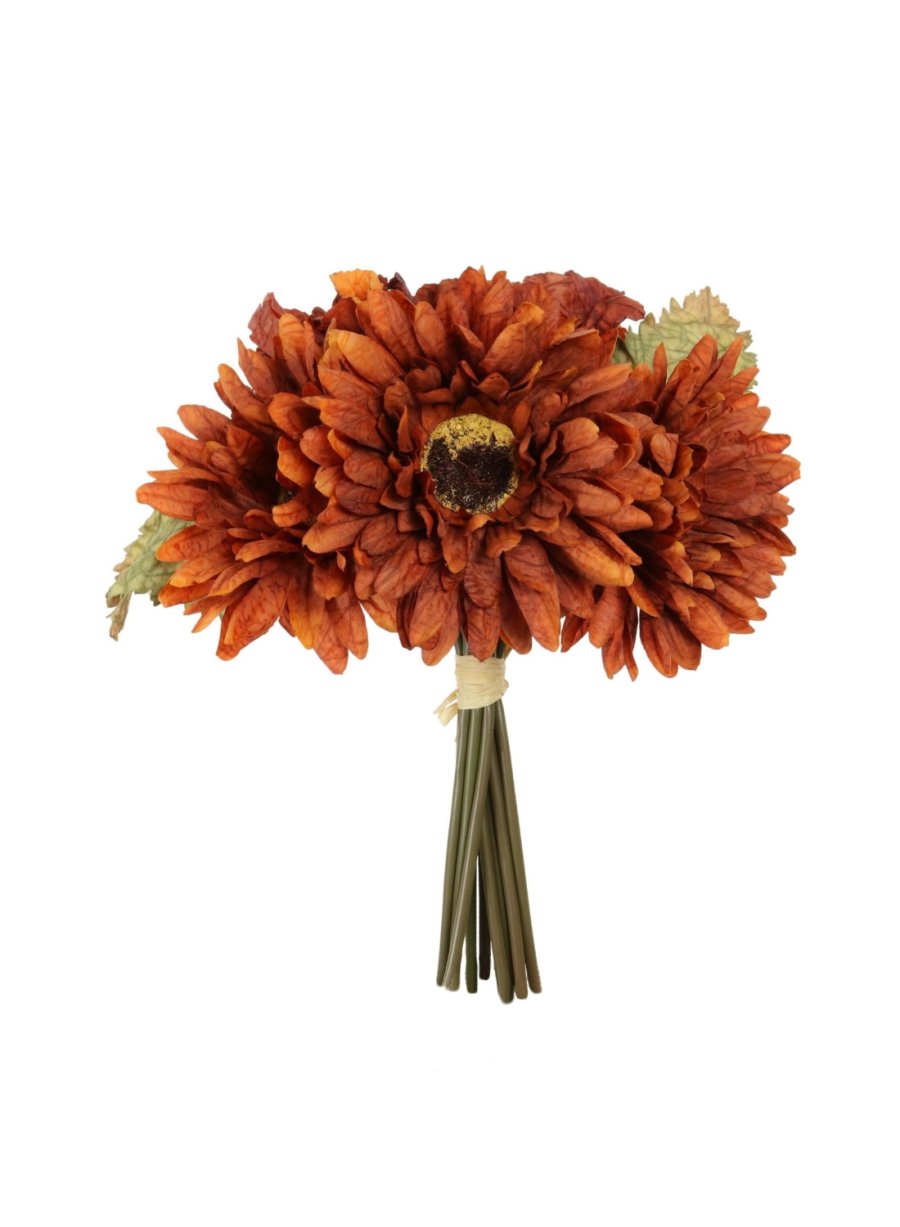 Dried Touch Gerbera Handtie (9x flower stems per bunch)