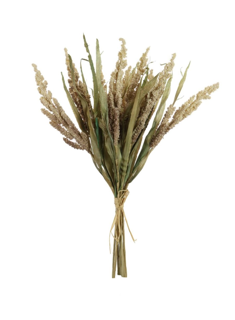 Dried Reed Wheat Bunch