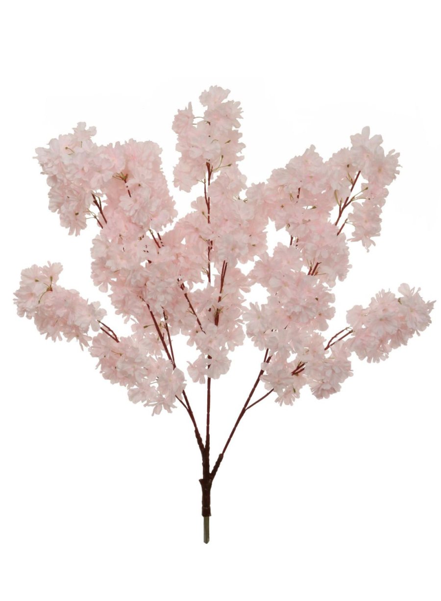 Cherry Blossom Branch