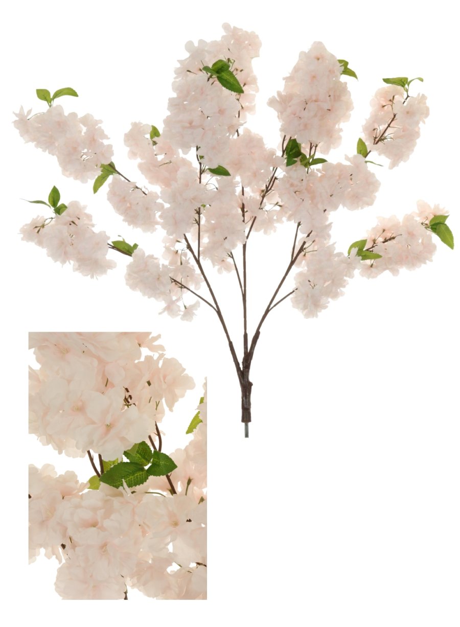 Cherry Blossom Branch