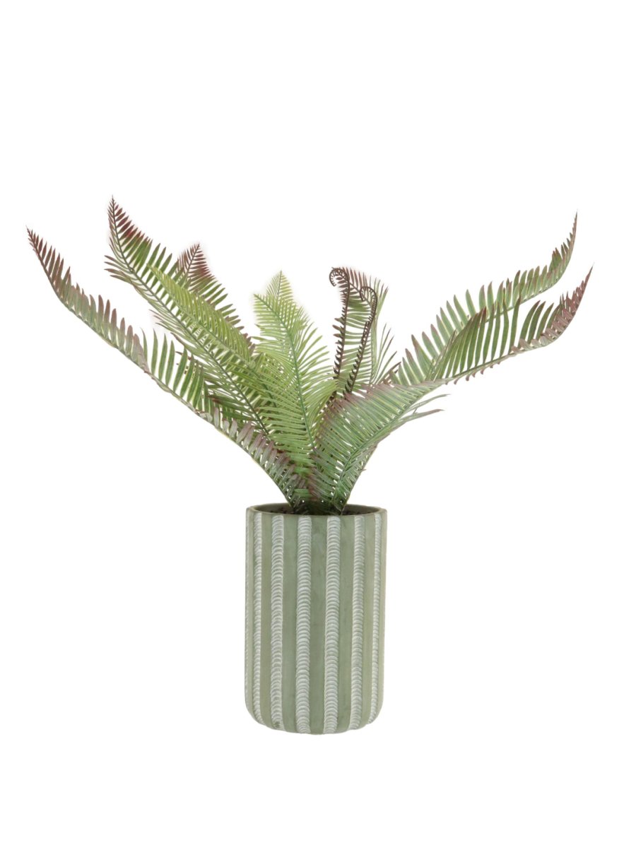 Regal Palm Pot