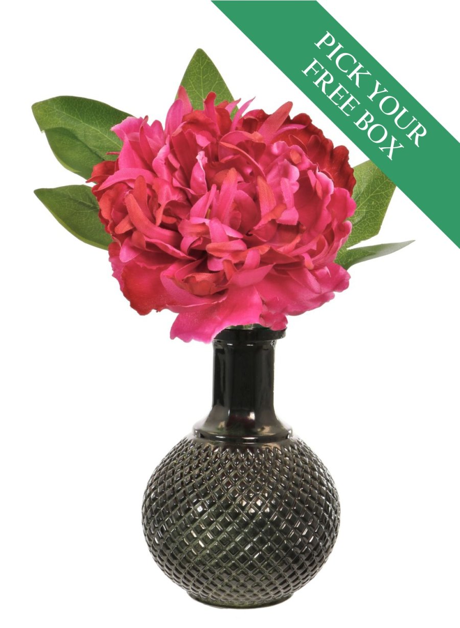 BUY ONE GET ONE FREE<br>Peony & Ball Vase Arrangement