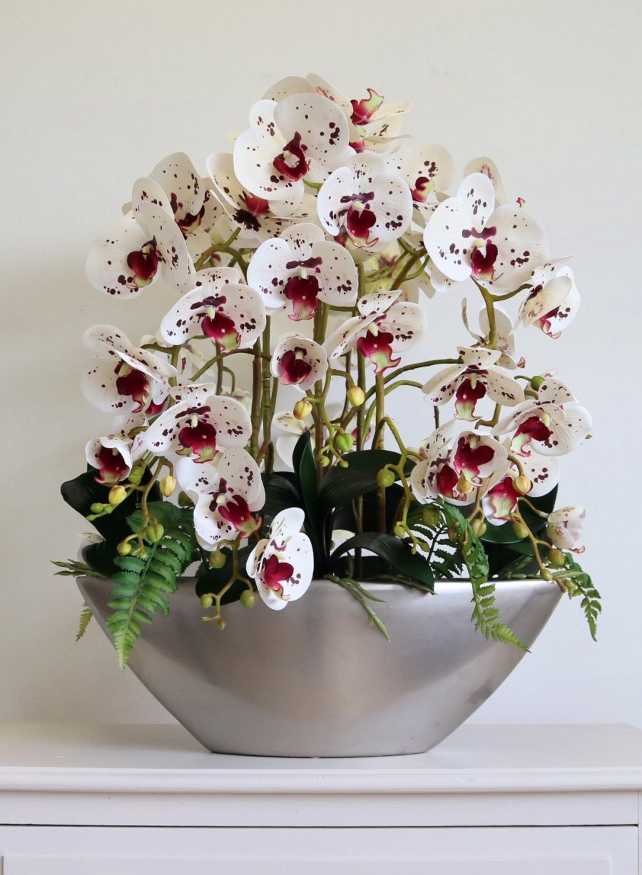 Large Orchid & Fern In Ark Bowl