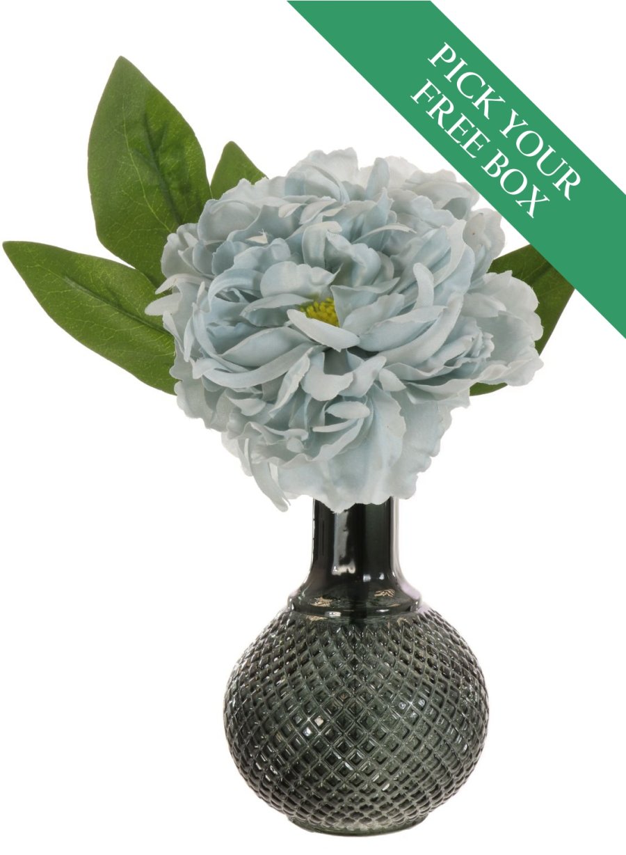 BUY ONE GET ONE FREE<br>Peony & Ball Vase Arrangement