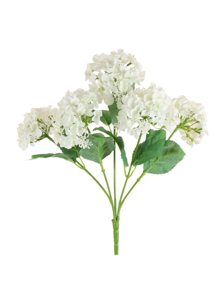 Lace Cap Hydrangea Bunch