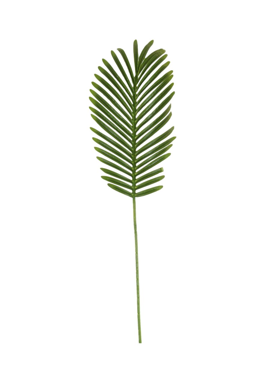Tropical Fern Leaf (82cm)