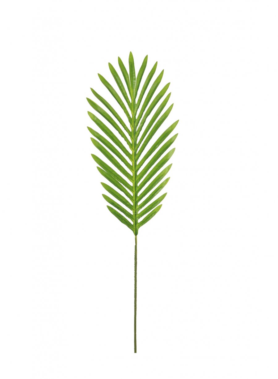 Tropical Fern Leaf (63cm)