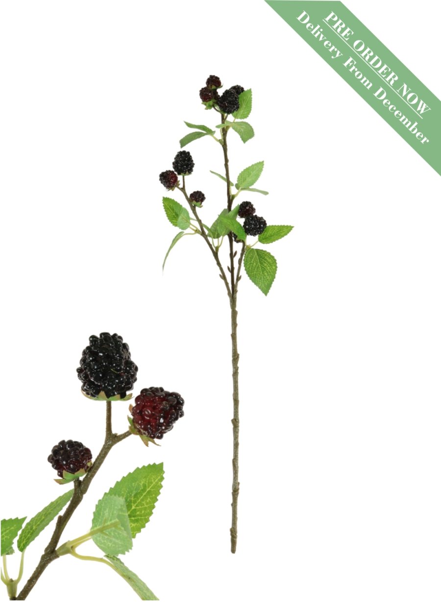 Blackberry Spray (64cm)