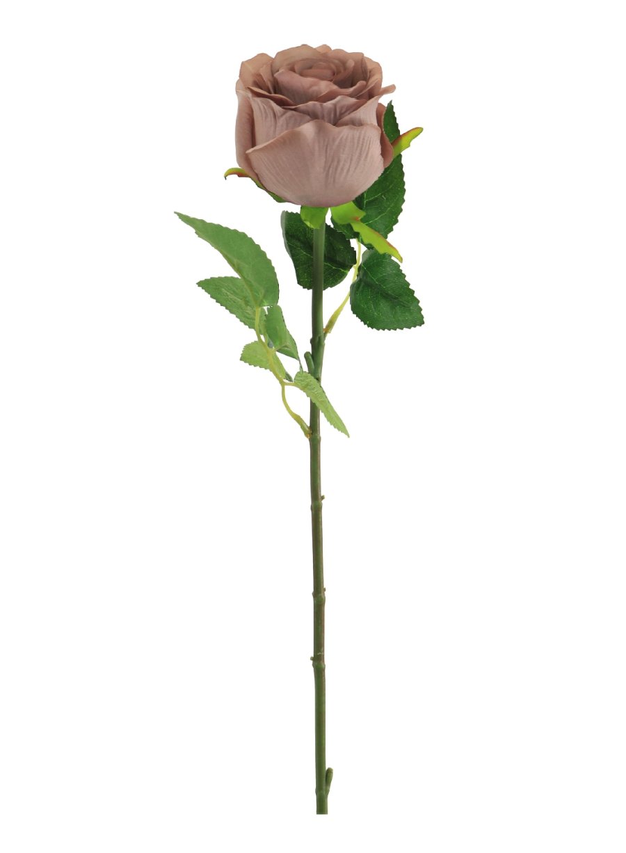 Lila Bud Rose Stem