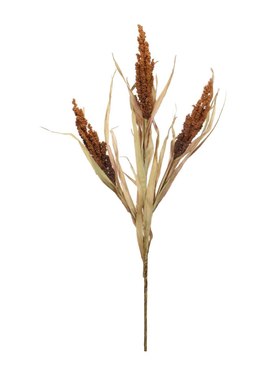 Dried Reed Wheat Spray