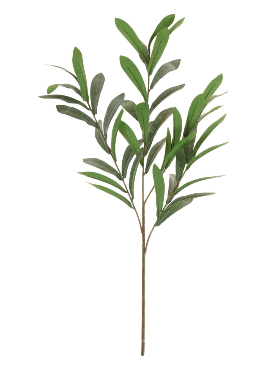 Olive Leaf Spray (Small)