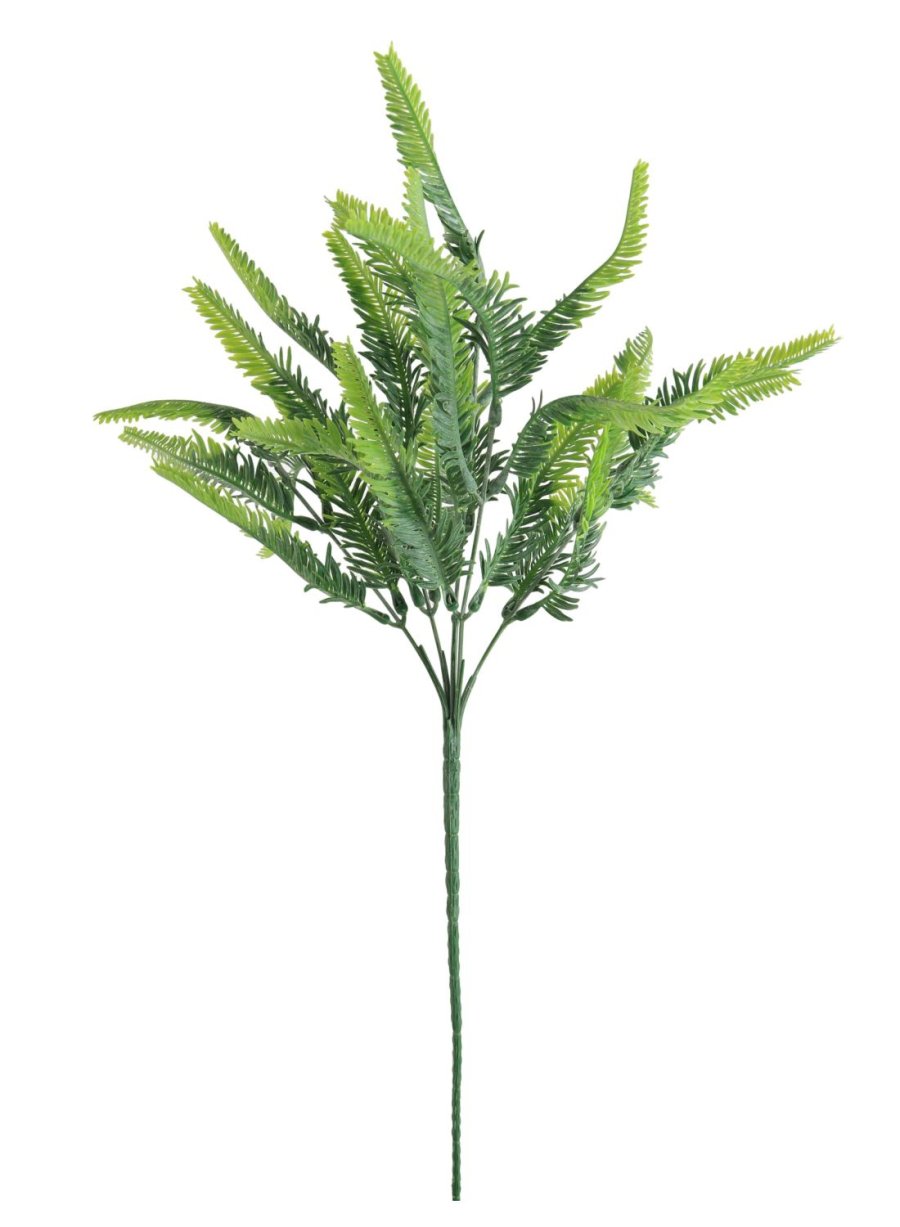 Long Stem Sword Fern Bunch