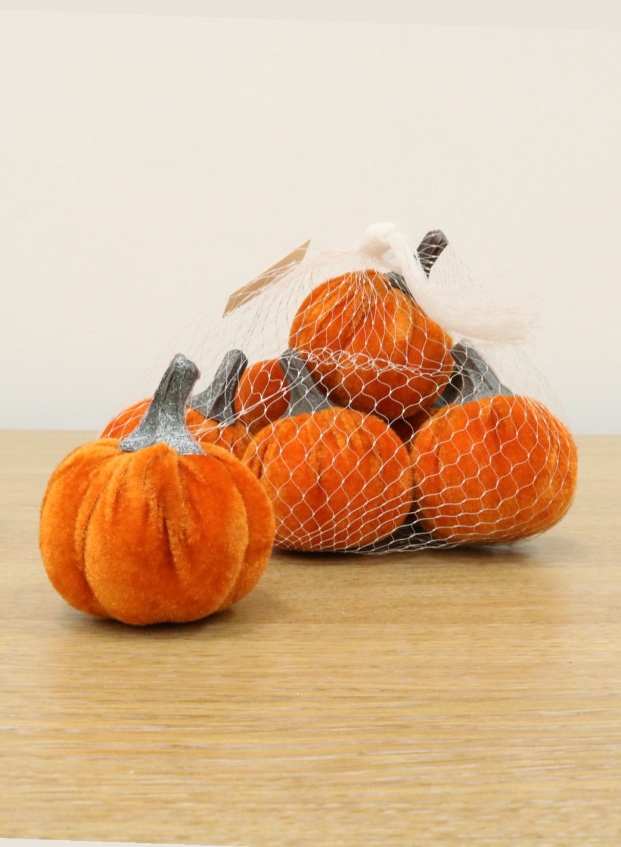 Velvet Pumpkin Bag (Small)