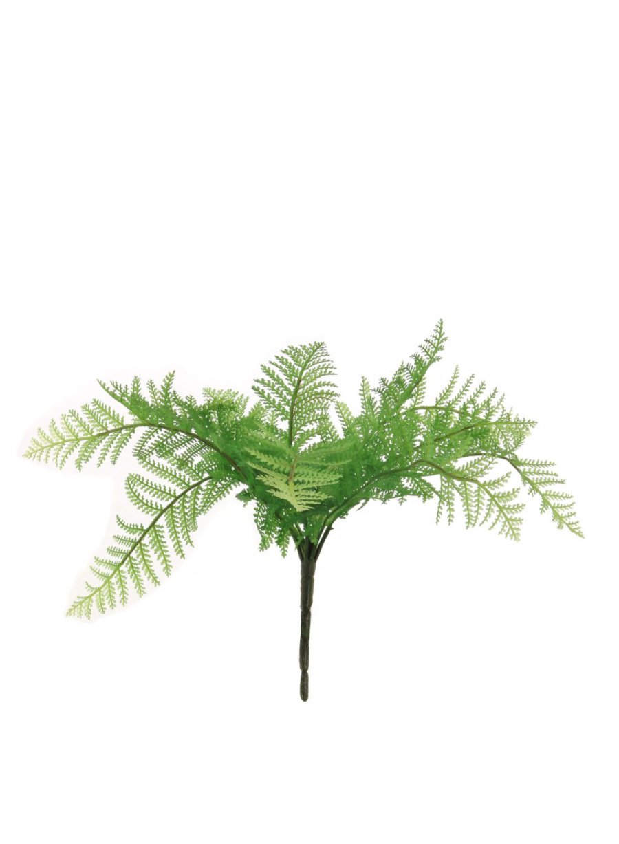 Lady Fern Bunch | Lotus Imports Ltd