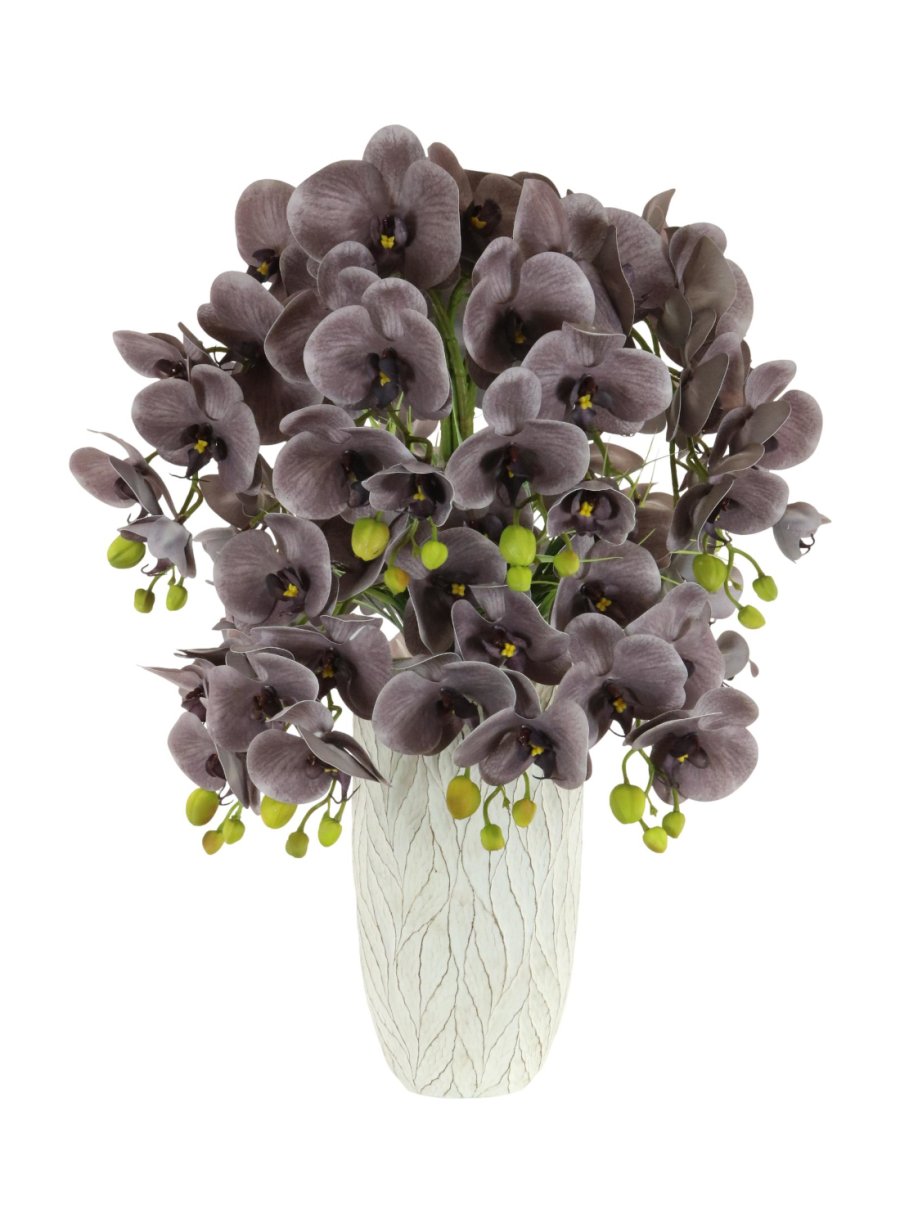 Phalaenopsis in Textured Vase Arrangement (Large)