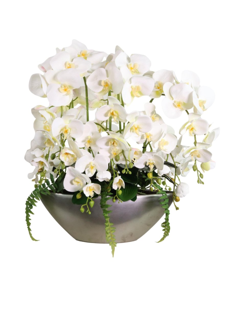 Large Orchid Arrangement In Ark Bowl