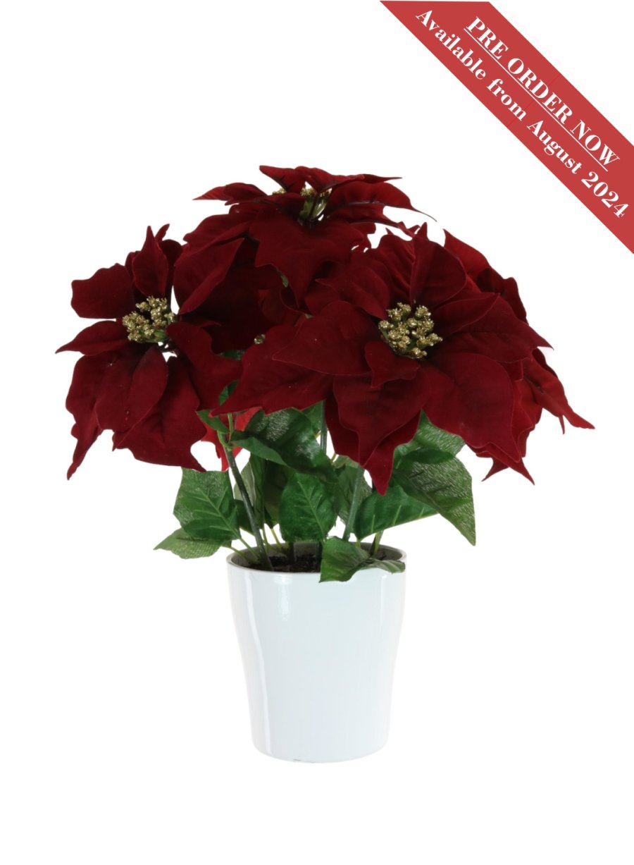 Complete Xmas Arrangement <br/>No: 187